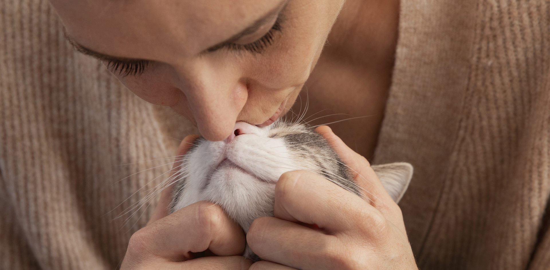 瓦力食品股份有限公司